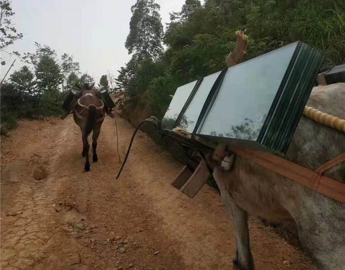 永宁县马帮运输工程队